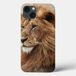 iPhone 13 Case Gros plan de lion mâle