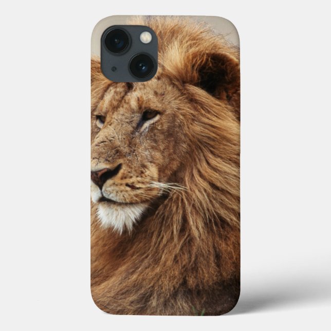 Coques Case-Mate iPhone Gros plan de lion mâle (Verso)