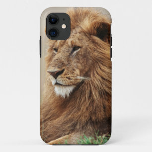 Etui iPhone Case-Mate Gros plan du lion mâle