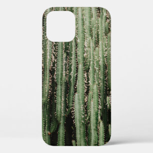 Case-Mate iPhone Case Gros plan du plante de cactus vert