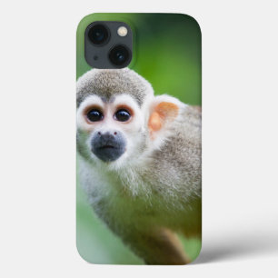 Case-Mate iPhone Case Gros plan d'un singe écureuil commun