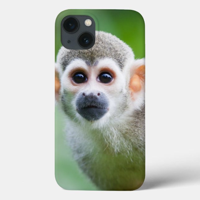 Coques Case-Mate iPhone Gros plan d'un singe écureuil commun (Verso)