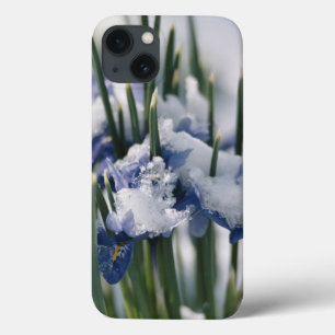 iPhone 13 Coque Gros plan sur Iris