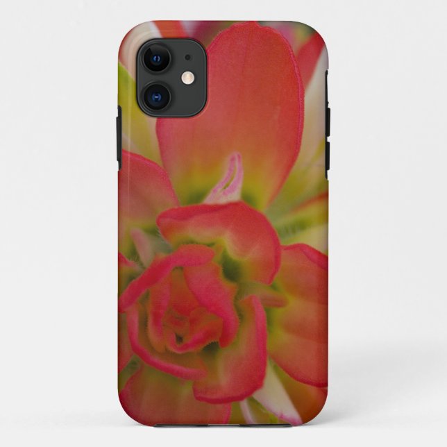 Coques Case-Mate iPhone Gros plan sur la brosse peinte indienne près de Ga (Dos)