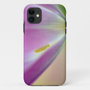 Coque Case-Mate iPhone Gros plan sur le dessous de la fleur de tulipe, Ku
