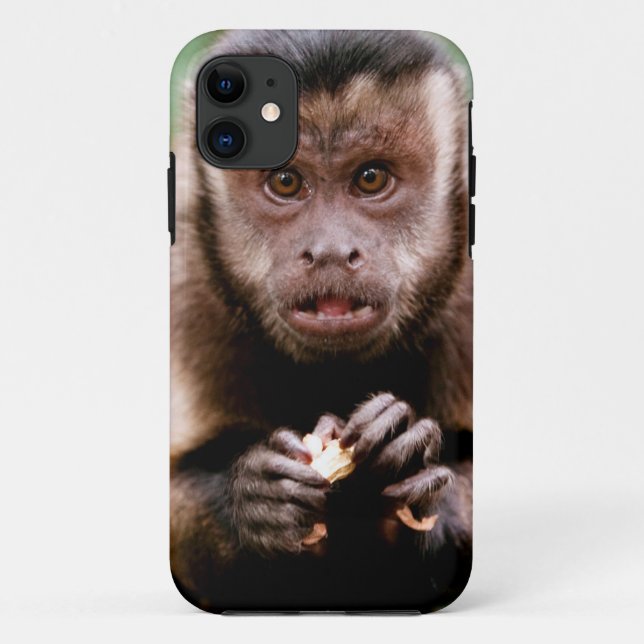 Coques Case-Mate iPhone Gros plan sur un capucin à tête noire (Dos)