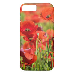 Coque Case-Mate Pour iPhone Gros plan sur un champ de coquelicots, France