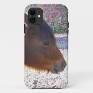 Coque iPhone 11 Gros plan sur un cheval brun, petit poney brun