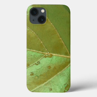 Etui iPhone 13 Gros plan sur une feuille de raisin de mer