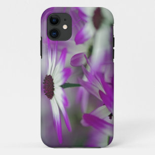 Coques Pour iPhone Gros plan sur une fleur violette, jardin Keukenhof