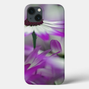 Etui iPhone 13 Gros plan sur une fleur violette, jardin Keukenhof
