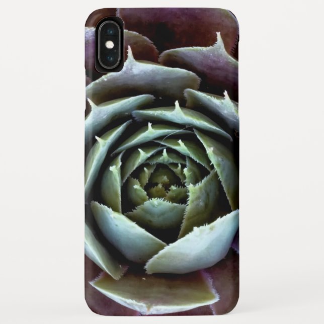 Coques Case-Mate iPhone Gros plan sur une succulente violette (Dos)