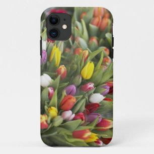 Coques Pour iPhone Groupes de tulipes colorées
