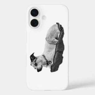 Coque Pour iPhone 16 Guardian Gaze
