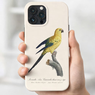 Case-Mate iPhone Case Guarouba dans fils jeune âge / Sun parakeet