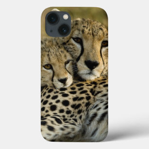 Etui iPhone Case-Mate Guépard, Acinonyx jubatus, avec un petit dans le M