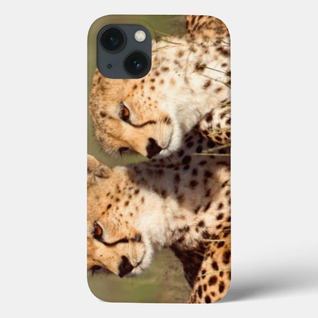 Coques Case-Mate iPhone Guépard Allongé Dans L'herbe, Ngorongoro Conservat (Verso)