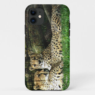 Coque iPhone 11 Guépards Lounging la grunge
