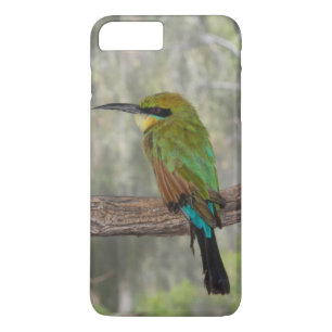 Coque Case-Mate Pour iPhone Guêpier arc-en-ciel, Australie