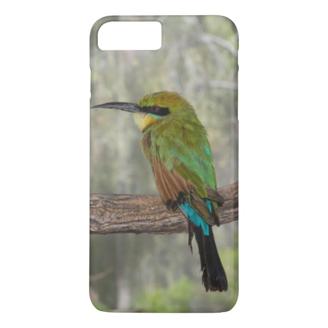 Coques Case-Mate iPhone Guêpier arc-en-ciel, Australie (Dos)