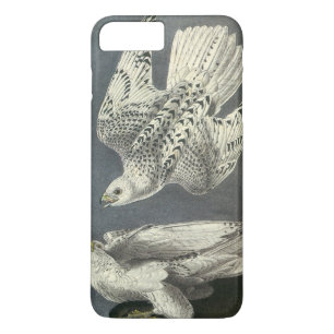 Coque Case-Mate iPhone Gyrfalcon par Audubon