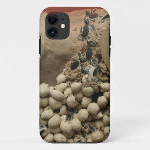 Coque Case-Mate iPhone Hachure d'oeufs de tortue de bébé