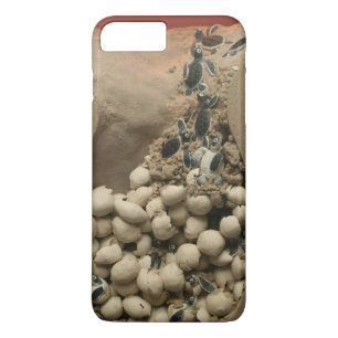 Coque Case-Mate iPhone Hachure d'oeufs de tortue de bébé