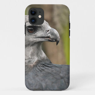 Coques Pour iPhone Harpy Eagle 1.JPG