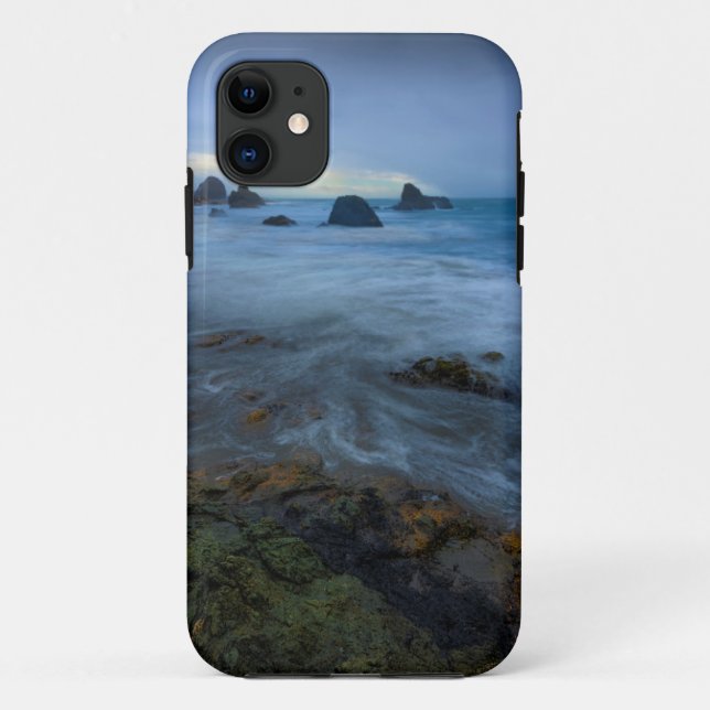 Coques Case-Mate iPhone Harris échouent le parc d'état | Orégon (Dos)