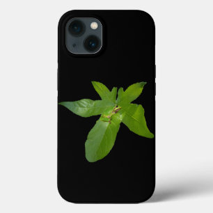 Case-Mate iPhone Case "Havre feuillu : une petite grenouille verte sur u
