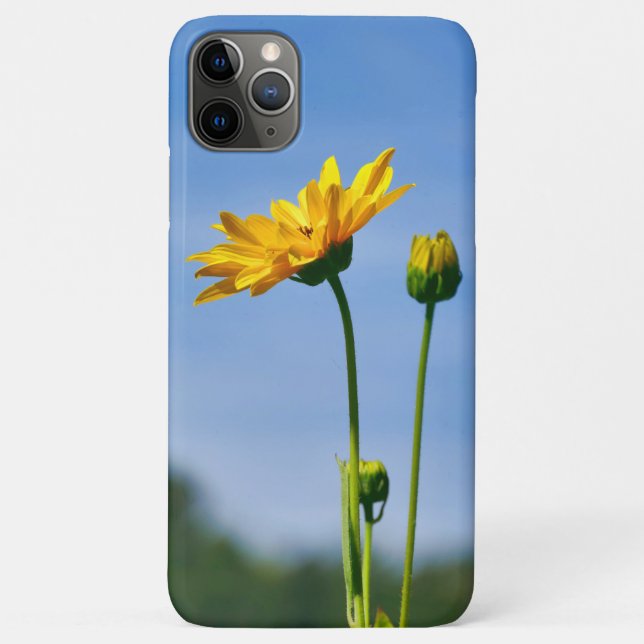 Coques Case-Mate iPhone Helenium jaune Daisy (Dos)