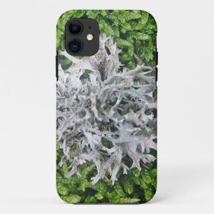 Coques Pour iPhone Hellgraue Flechte auf hübschem Moos