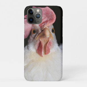 Case-Mate iPhone Case Hen