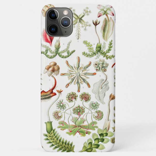 Coques Case-Mate iPhone Hepaticae Hépatiques par Ernst Haeckel (Dos)