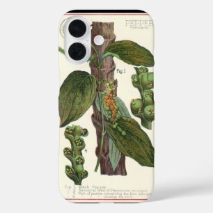 Coque Pour iPhone 16 Herbes et épices alimentaires vintage, plante de p