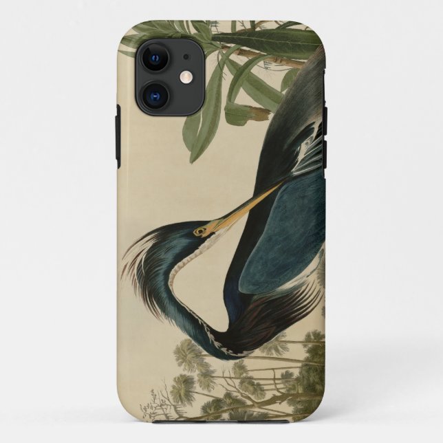 Coques Case-Mate iPhone Héron de Louisiane (Dos)