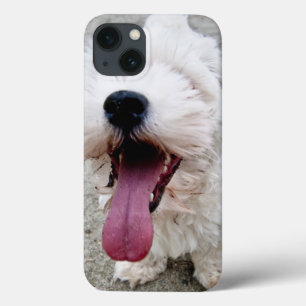 Etui iPhone 13 Heureux Chien blanc chiot, maltais, maltipoo.