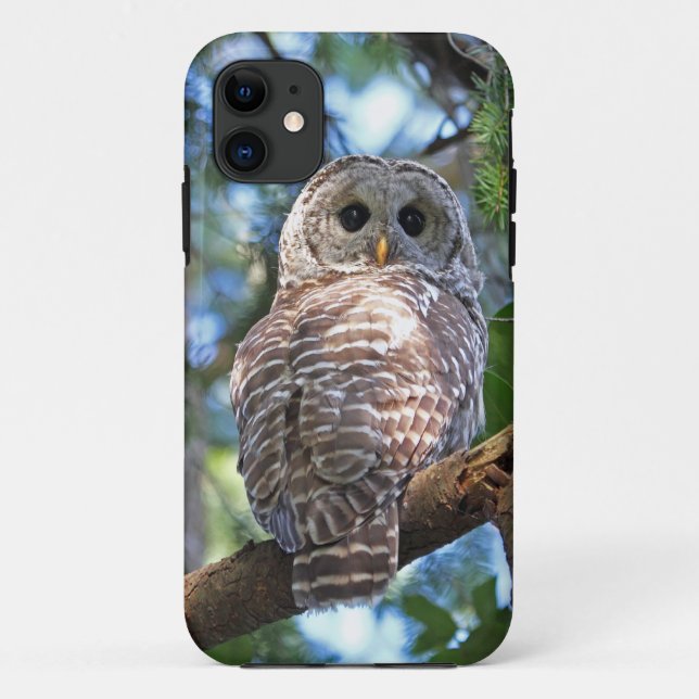 Coques Case-Mate iPhone Hibou barré dans la forêt (Dos)