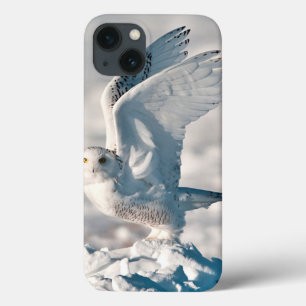 iPhone 13 Coque Hibou blanc décollant de la neige