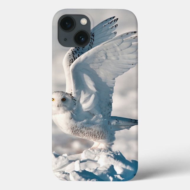 Coques Case-Mate iPhone Hibou blanc décollant de la neige (Verso)