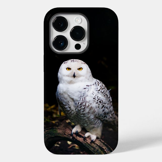 Coques Case-Mate iPhone Hibou blanc majestueux d'hiver (Verso)