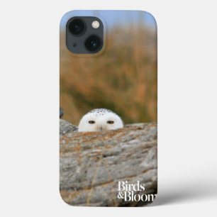 Etui iPhone Case-Mate Hibou de Milou