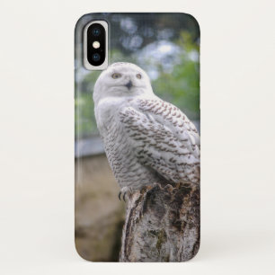 Etui iPhone Case-Mate Hibou des neiges