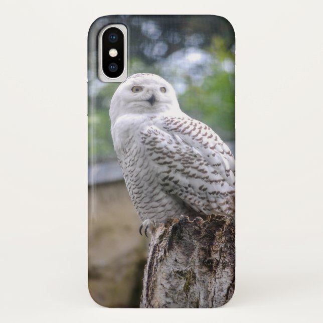 Coques Case-Mate iPhone Hibou des neiges (Dos)
