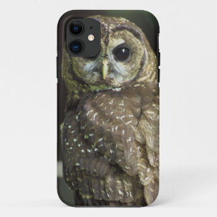 Coque Case-Mate Pour iPhone Hibou repéré du nord