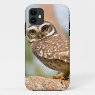 Etui iPhone Case-Mate Hibou repéré sur le vol de matin