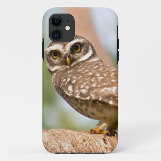 Coques Case-Mate iPhone Hibou repéré sur le vol de matin (Dos)