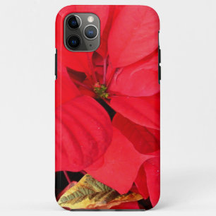 Case-Mate iPhone Case Holly Point Poinsettias vacances Floral