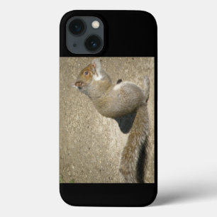 Etui iPhone Case-Mate Horatio affamé d'écureuil