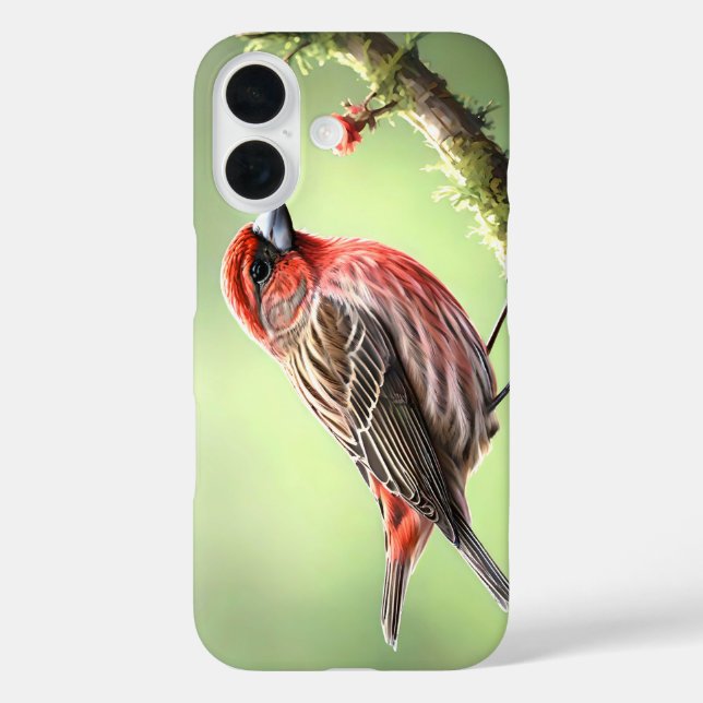COQUES Case-Mate iPhone HOUSE FINCH BIRD AVIAN BACKYARD (Verso)